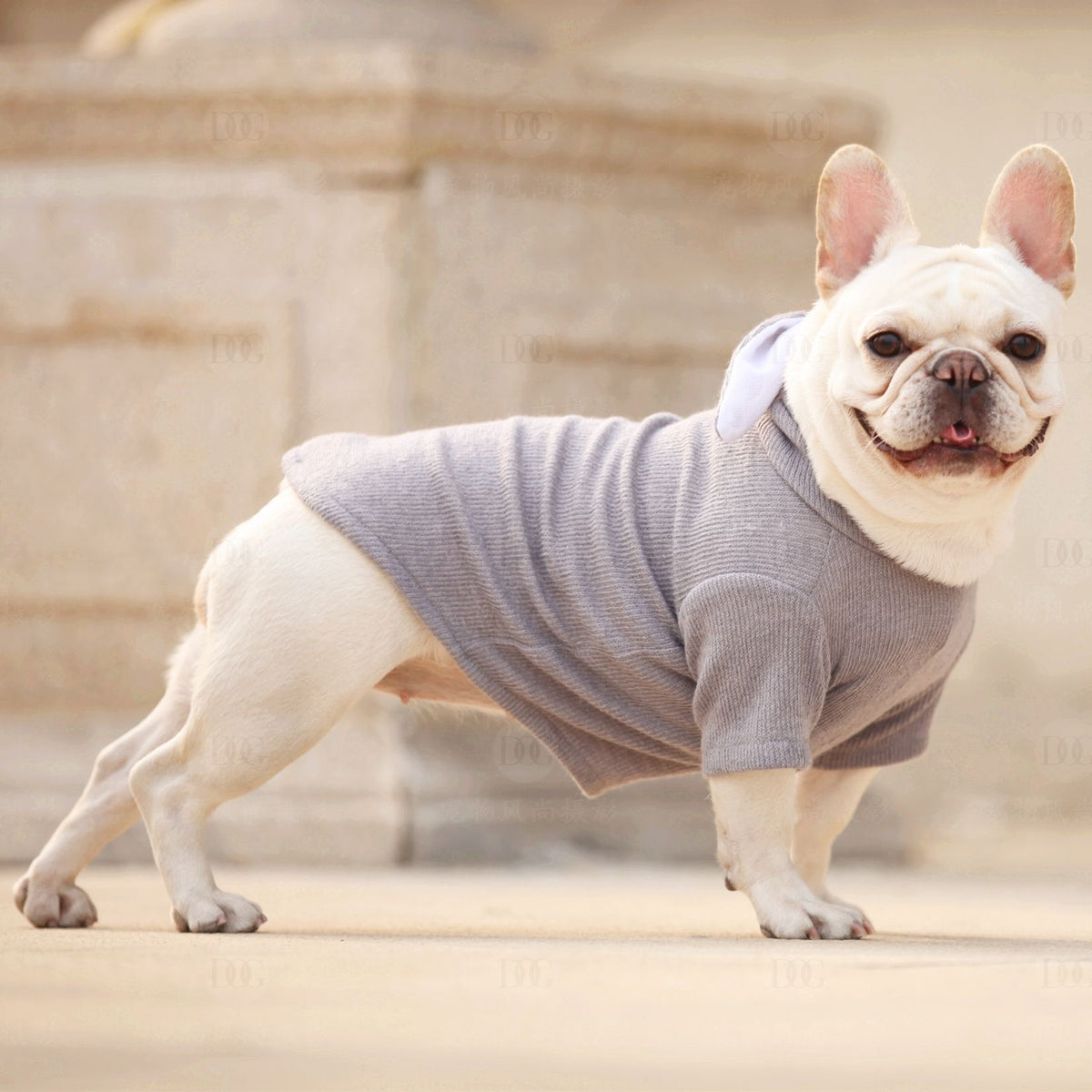 knitted pet sweater for autumn winter