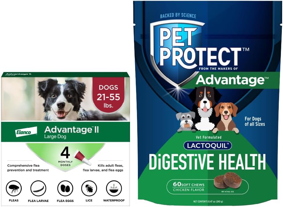 Advantage II Large Dog Flea Treatment (21-55 lbs, 4-Month Supply) + Pet Protect Digestive Health Chews (60 Ct)