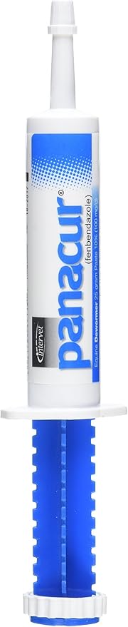 Panacur Horse Dewormer Paste 10%, 100mg