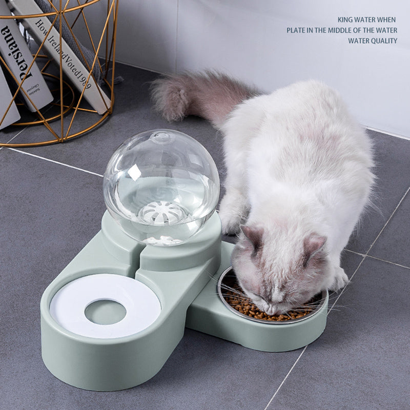 automatic pet feeder with fountain
