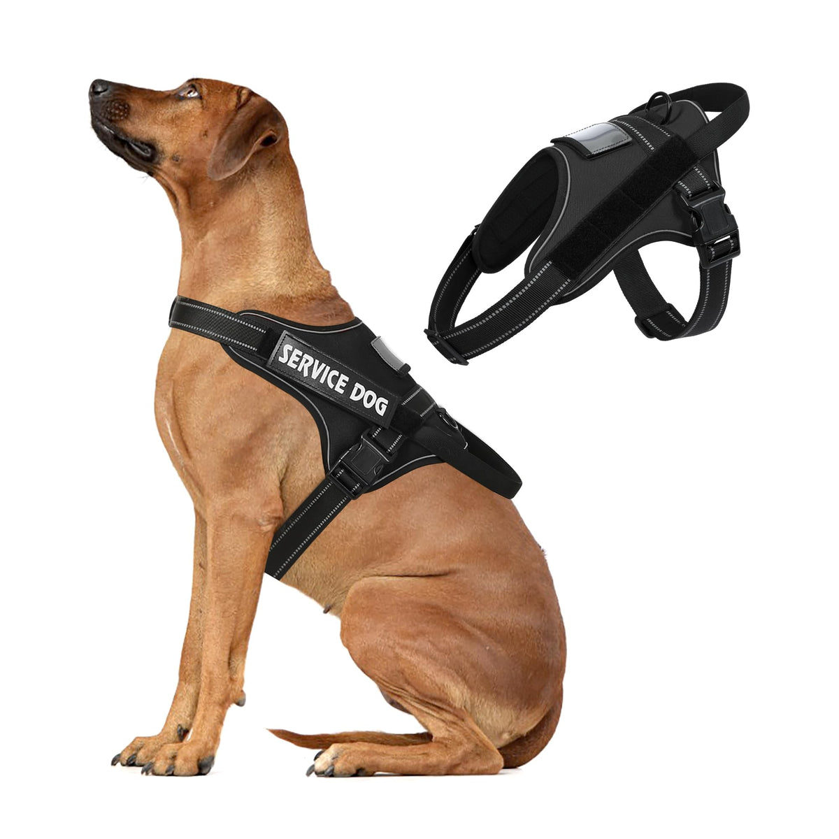 medium dog harness no pull adjustable