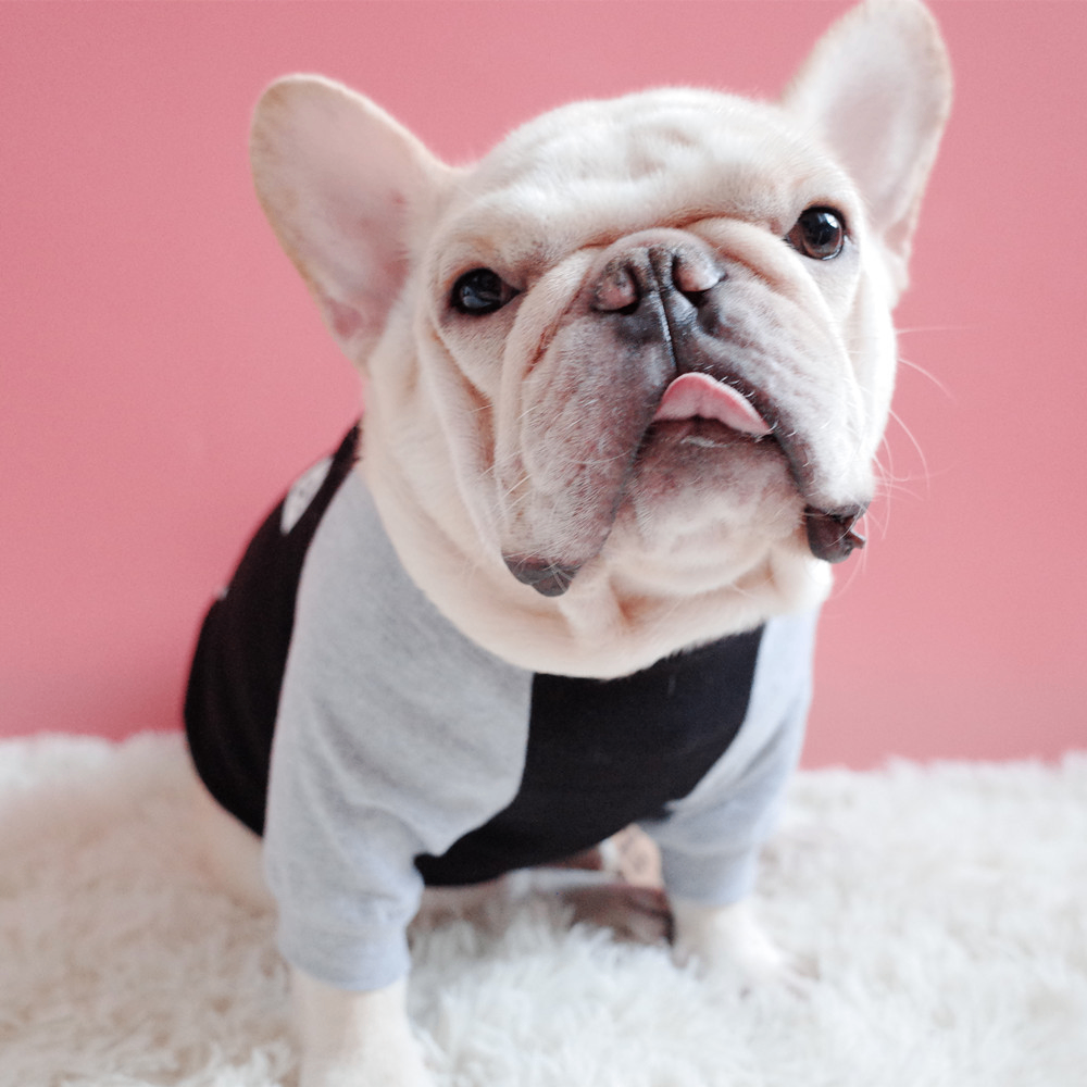 stylish pet dog sweater