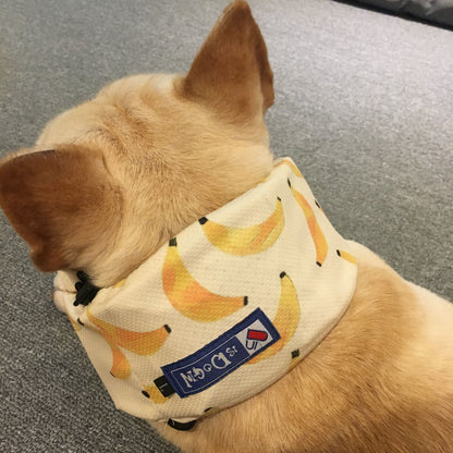 Summer Pet Dog Cooling