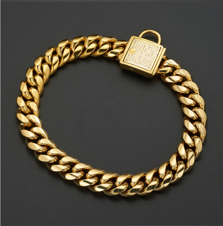 Pet Dog Collar with Stainless Steel Titanium Chain