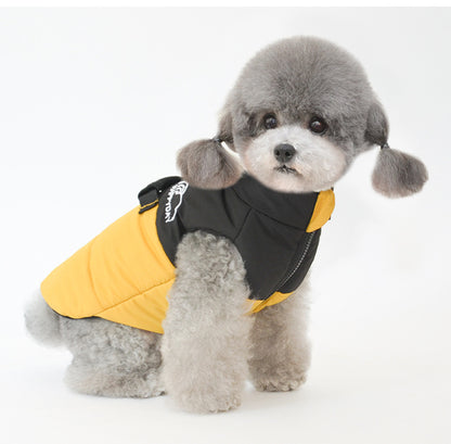Autumn and Winter Pet