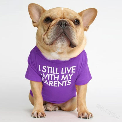 pet dog letter t-shirt