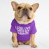 pet dog letter t-shirt
