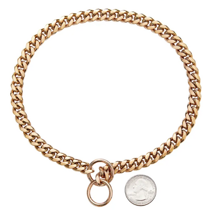 stainless steel dog leash