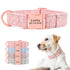 Engraved Pet Dog Collar with Anti-Lost Leash Supplies