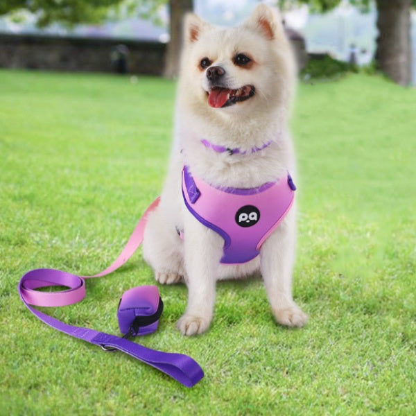 Pet Dog Handheld Rope