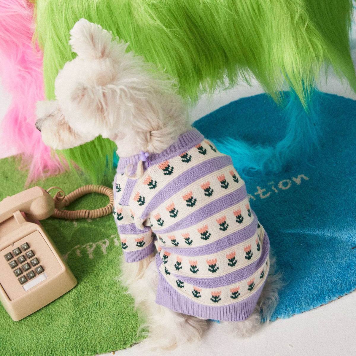 purple floral dog sweater cardigan