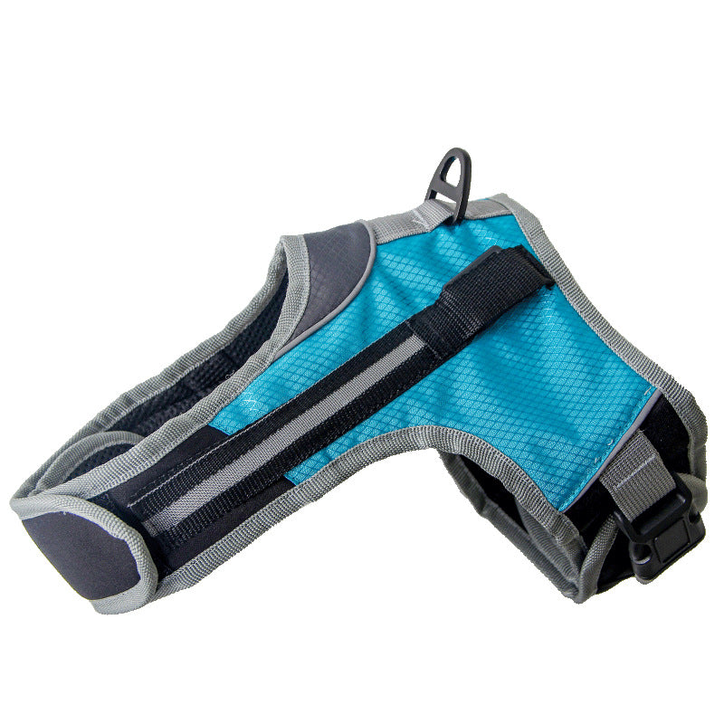 Pet Dog Leash for Walki