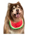 Pet Dog Bib Dog Bandana Cartoon Watermelon