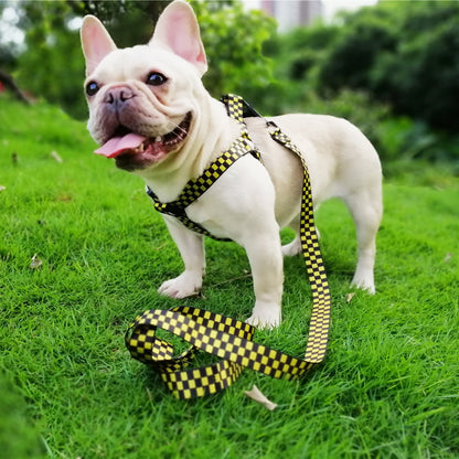 checkered pet dog harness