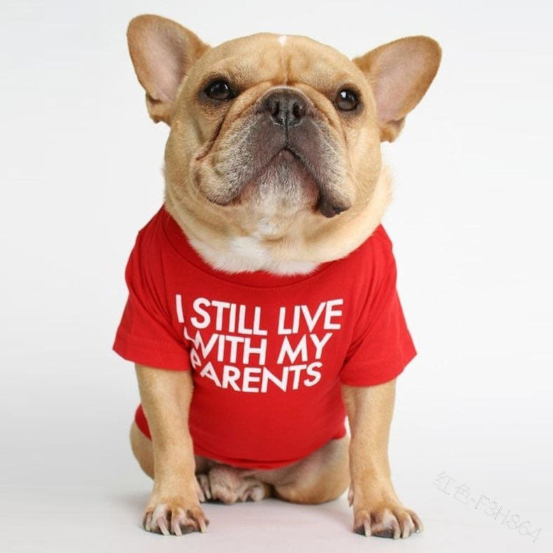 pet dog letter t-shirt