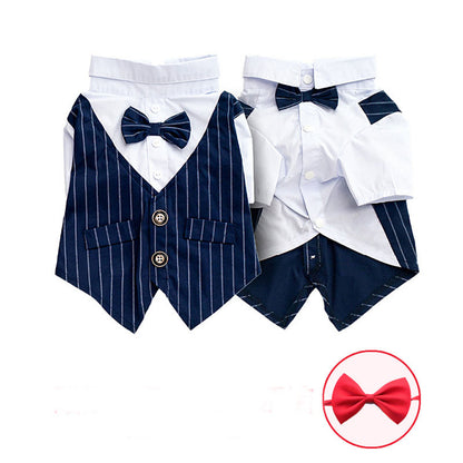 Simple Fashionable Pet Dog