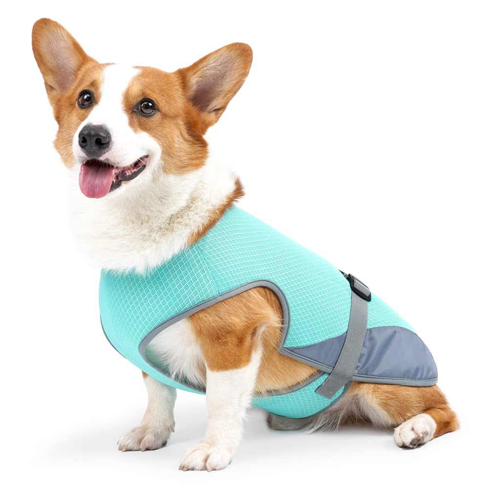 blue dog cooling vest