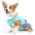 blue dog cooling vest