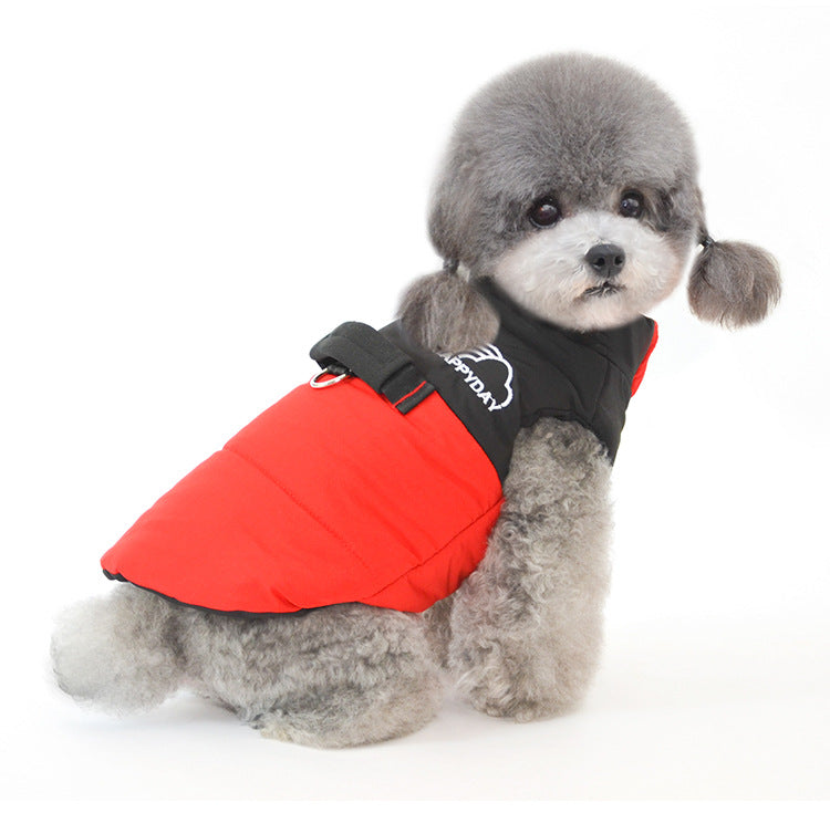 Autumn and Winter Pet