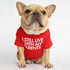 pet dog letter t-shirt