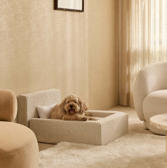 thickened rectangular dog bed