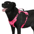 Bolux Tactical Dog Harness for Large Dogs