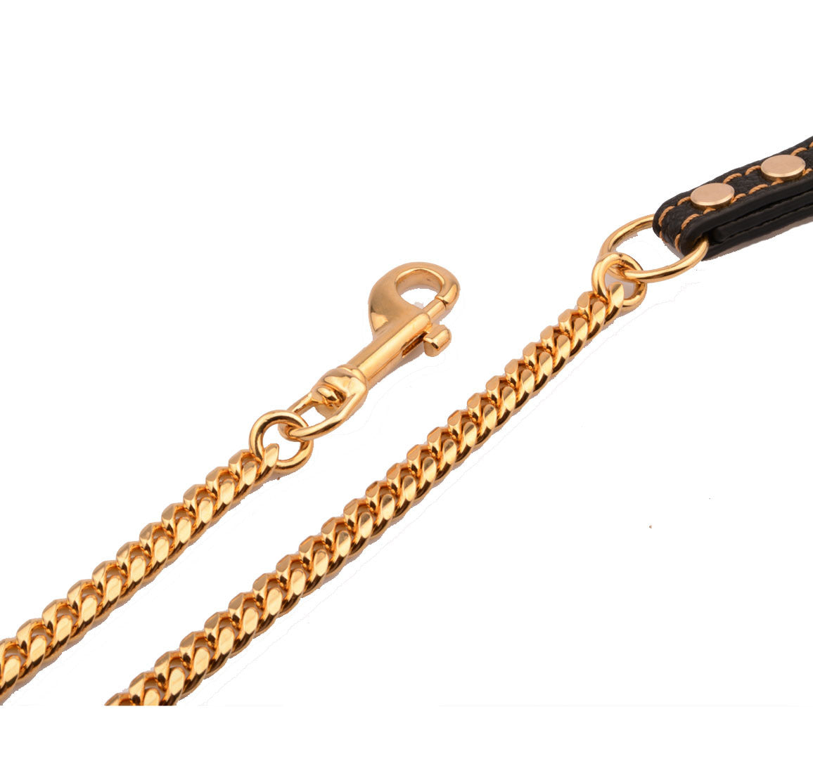 gold stainless steel dog leash