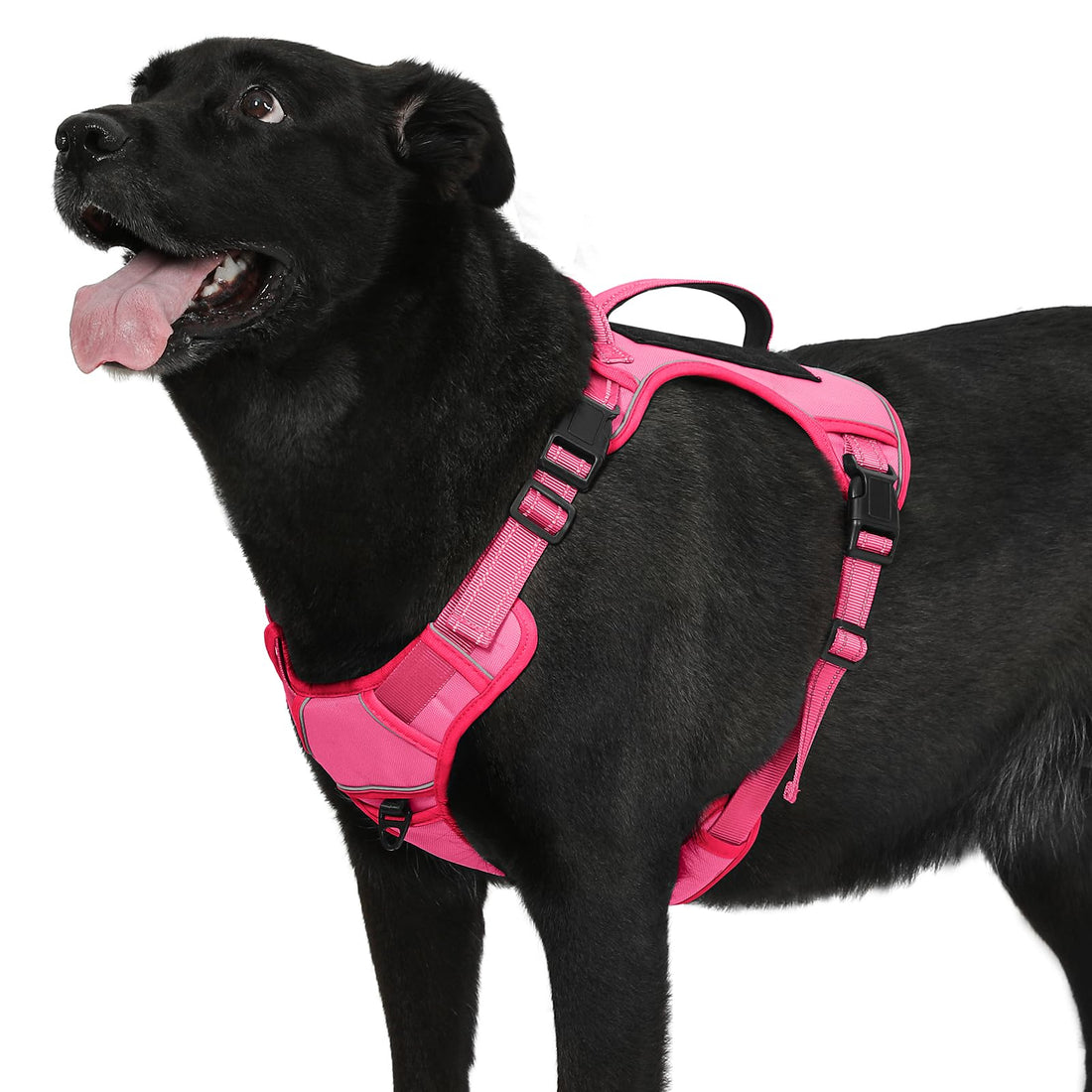 Bolux Tactical Dog Harness for Large Dogs