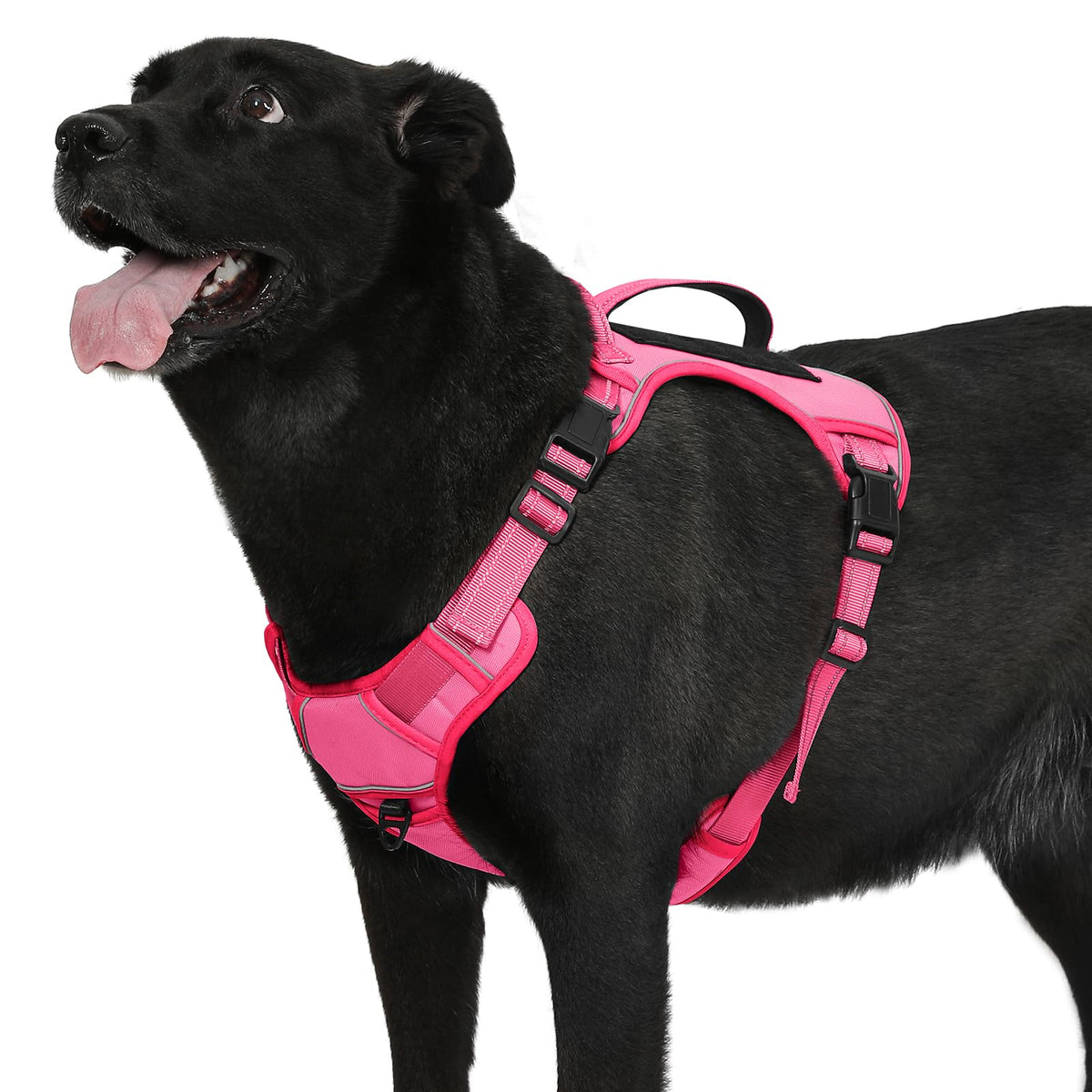 Bolux Tactical Dog Harness for Large Dogs