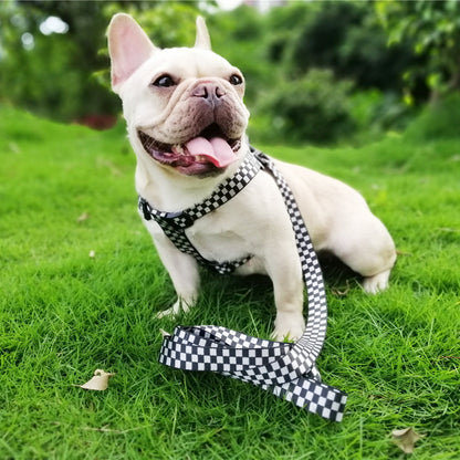 checkered pet dog harness
