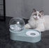 automatic pet feeder with fountain