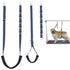 dog grooming belly straps set