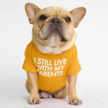 pet dog letter t-shirt