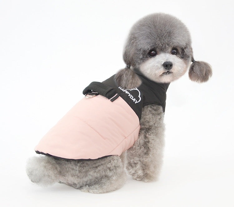 Autumn and Winter Pet