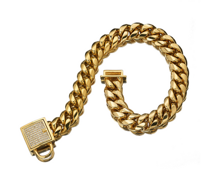 Pet Dog Collar with Stainless Steel Titanium Chain