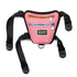dog travel backpack for outdoor adventures