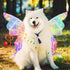 Pet Glowing Wings Pet Electric Fairy Wings