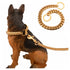 gold stainless steel dog leash