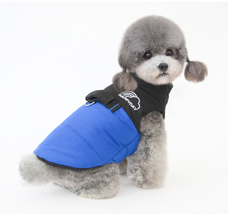 Autumn and Winter Pet