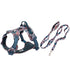 pet dog leash and harness set