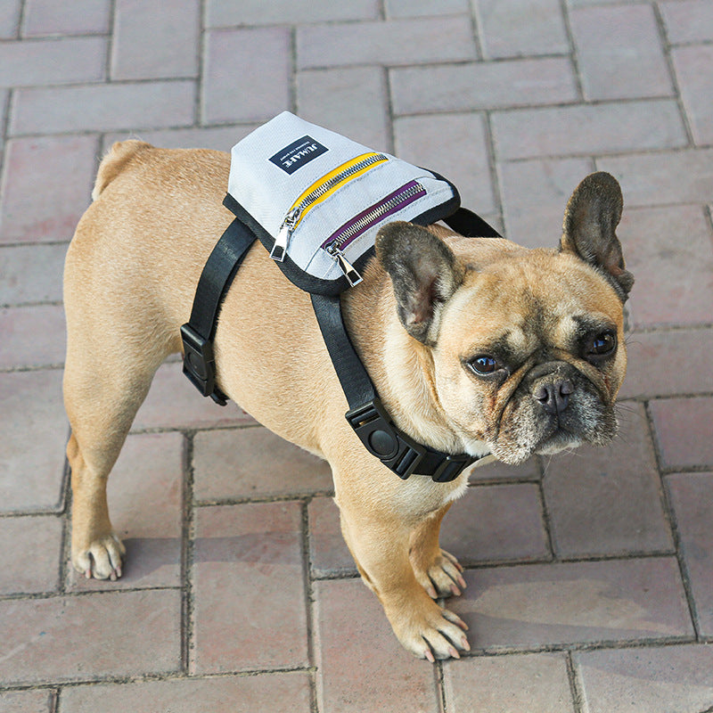 dog travel backpack for outdoor adventures