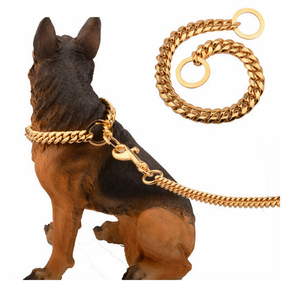 gold stainless steel dog leash