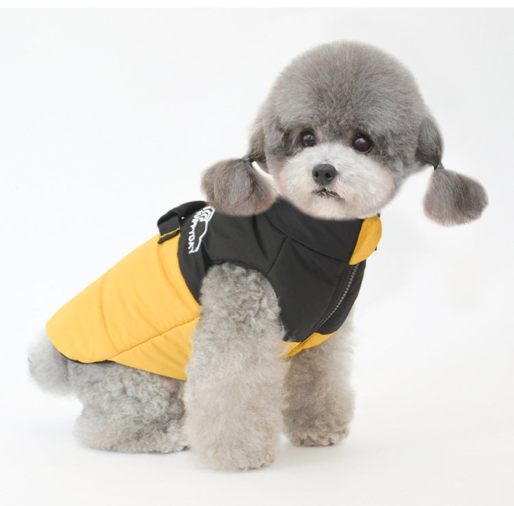 Autumn and Winter Pet