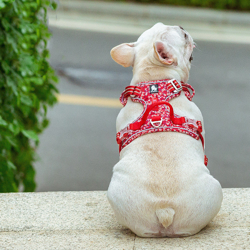 pet dog leash and harness set