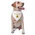 dog costume accessory set