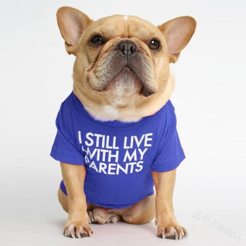 pet dog letter t-shirt