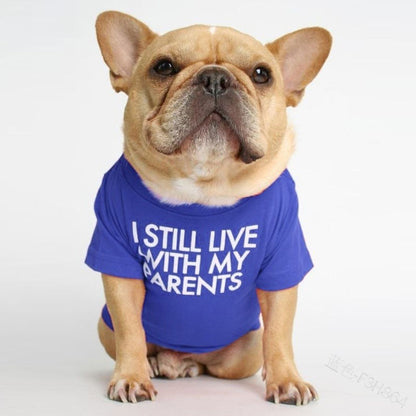 pet dog letter t-shirt