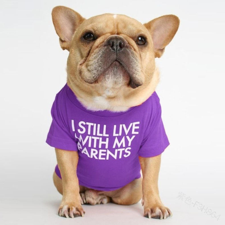 pet dog letter t-shirt