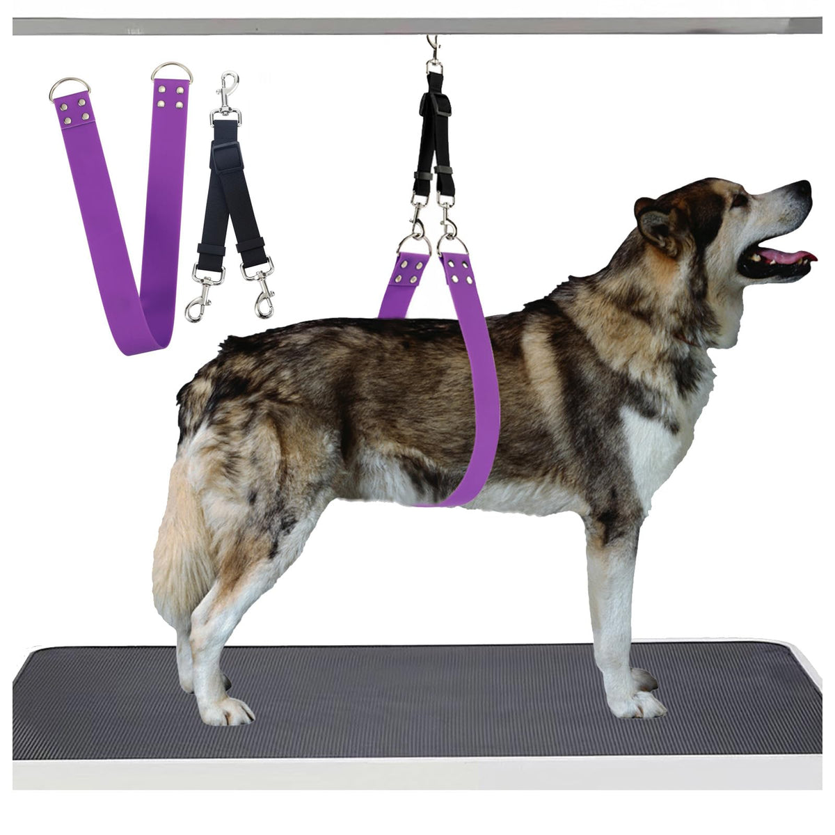 pet dog grooming belly straps