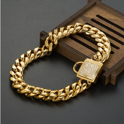 Pet Dog Collar with Stainless Steel Titanium Chain